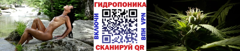 Марихуана White Widow  Жуков 